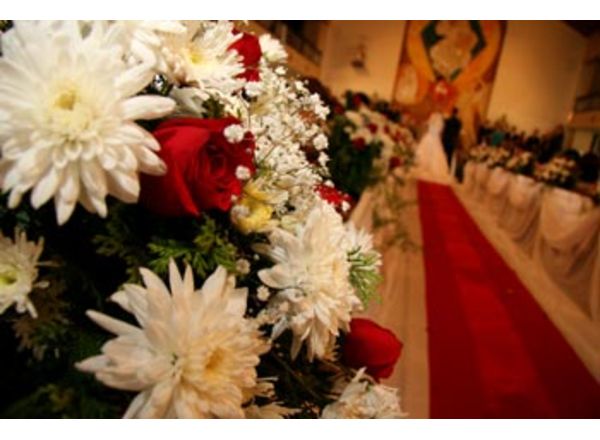 Galeria de Fotos: Eventos : Floricultura  em Itap da Serra 