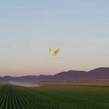 FAZENDA 250 ALQUEIRES APARECIDA DO TABOADO MS