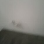 Imagem 27 de 48